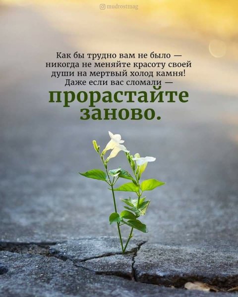 Человек идущий к солнцу
