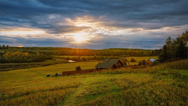 Сельская природа