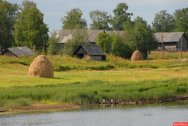 Природа лето деревня