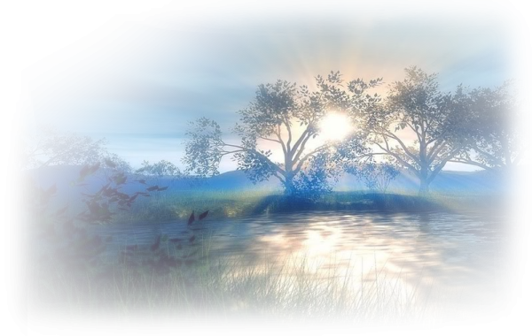 Природа без фона