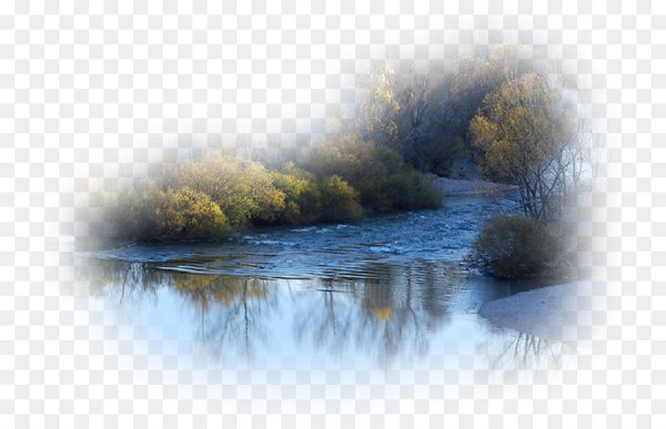 Летние пейзажи на прозрачном фоне