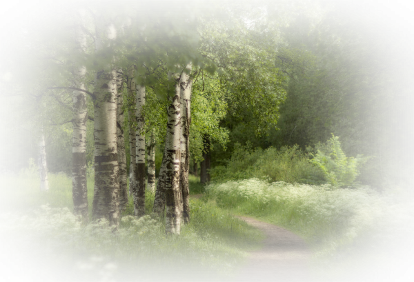 Весна клипарт
