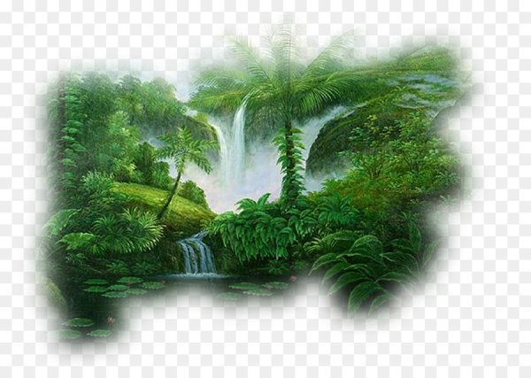 Лес на прозраччноммфоне