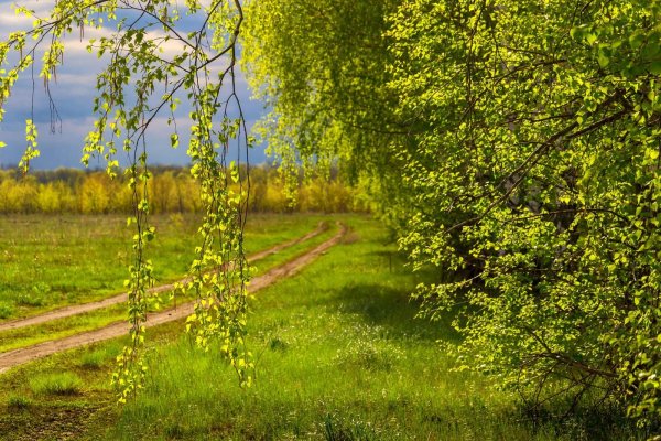 Майский Солнечный день природа