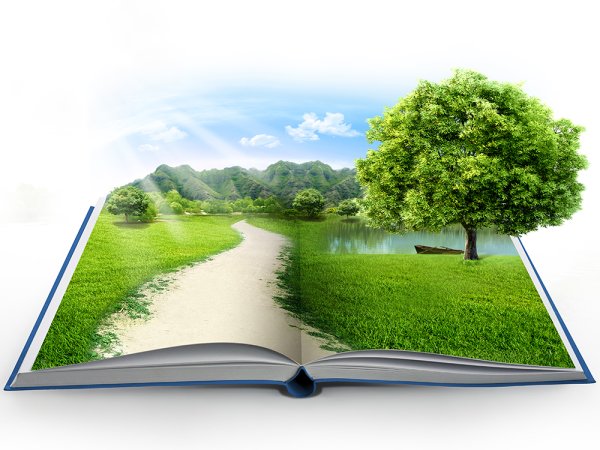 Книга природа