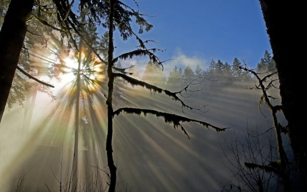 Ранняя Весна солнце
