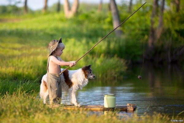 Природа креатив