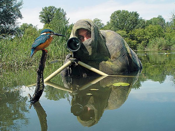 Хобби природа и животные