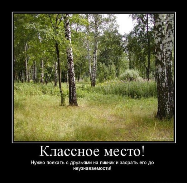 Животные поля