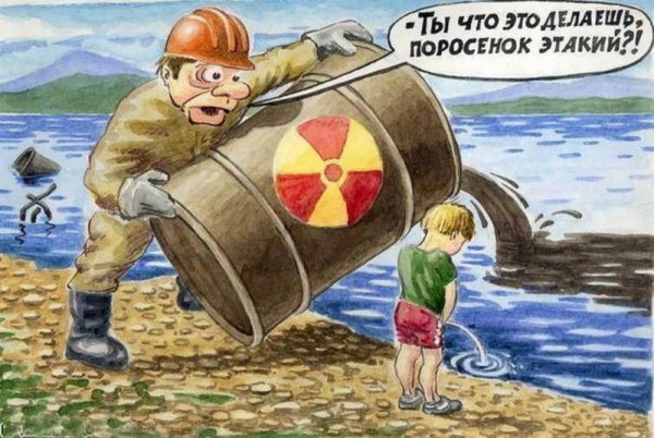 Медведь прикол