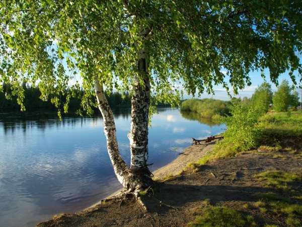 Красота русской природы