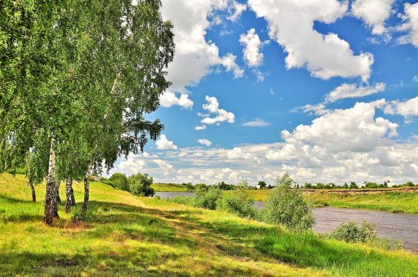 Россия просторы Березки реки