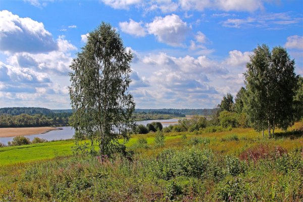 Родина природа