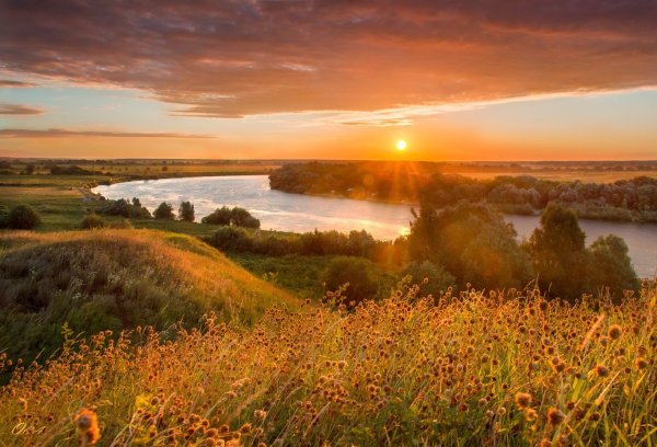 Родные просторы Пушгоры панорама