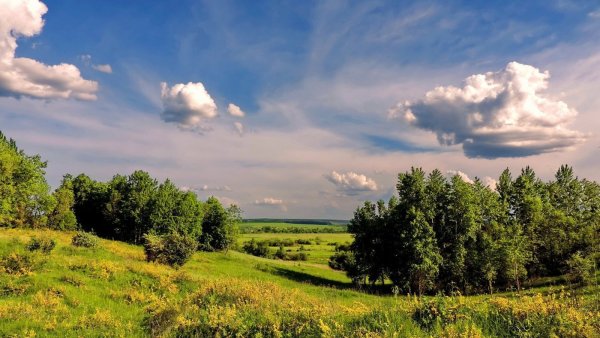 Удмуртия Холмистая равнина