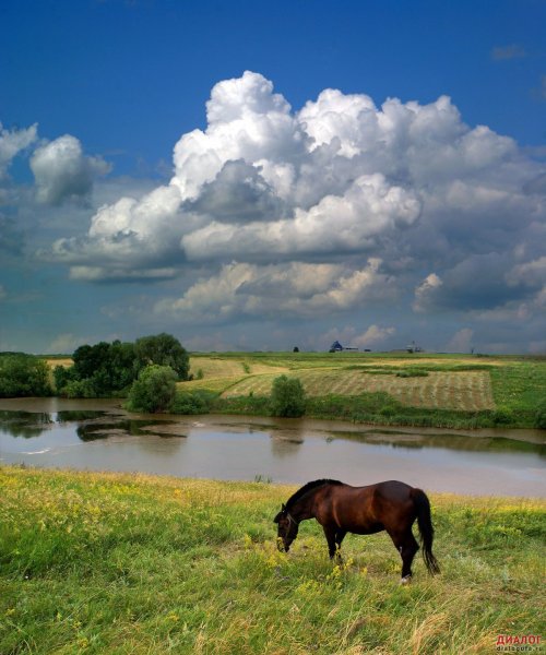 Село Осенево Ярославская