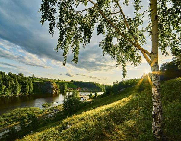 Родные просторы Пушгоры панорама