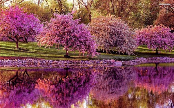 Весенний сад (Spring Topiary Garden)