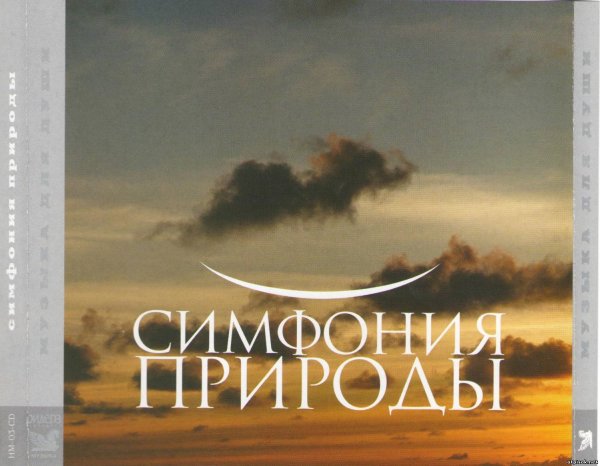 Пианино на берегу моря