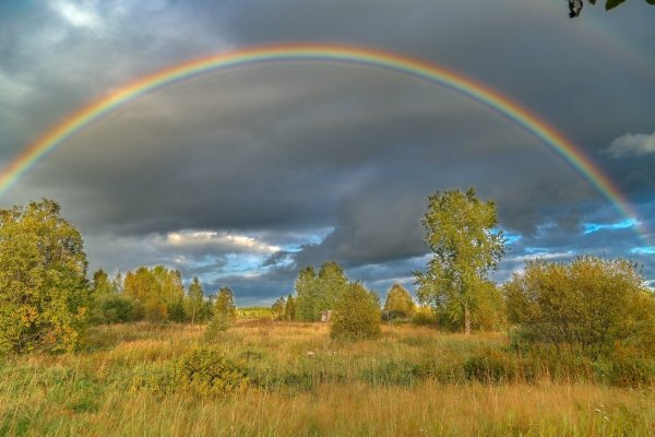 Радуга летом