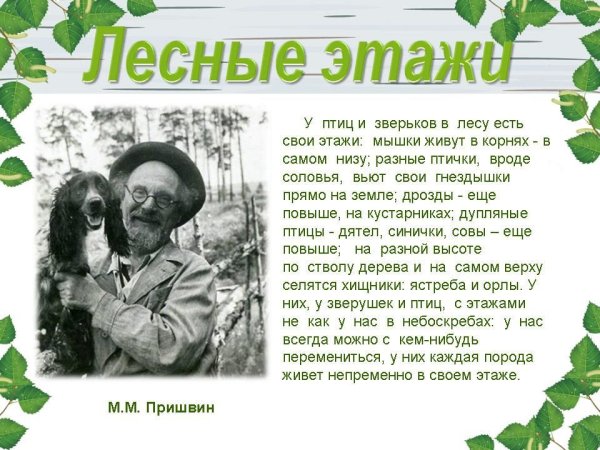 Пришвин кладовая солнца