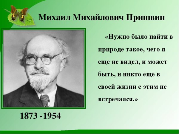 Тайга иллюстрация