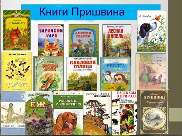 Этажи леса пришвин