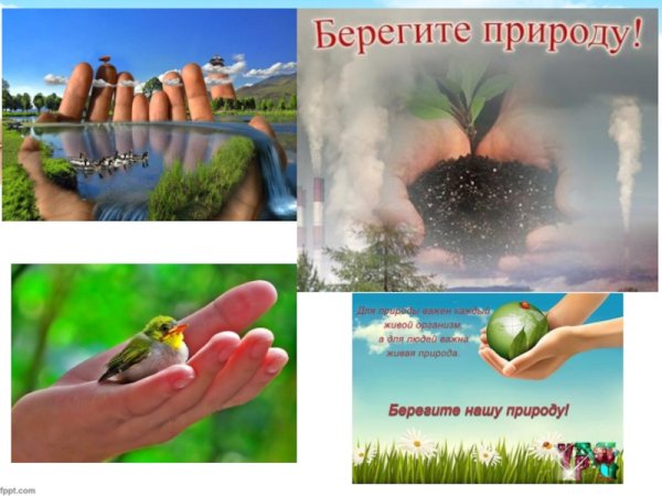 Плакат экология