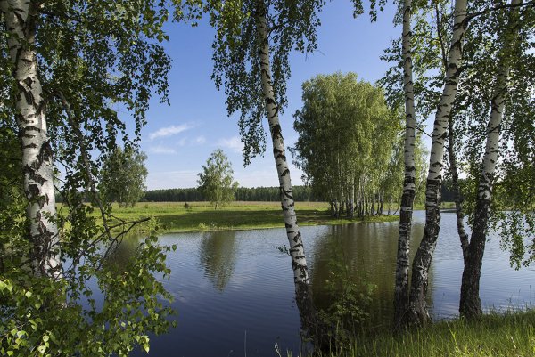Храм озера Березка Россия