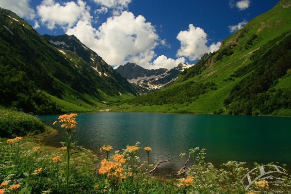Заповедник Шапошникова