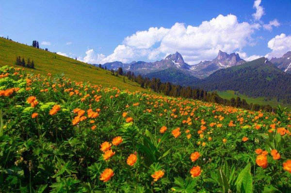 Природа России заповедники
