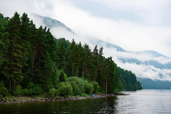 Алтайский заповедник Телецкое озеро