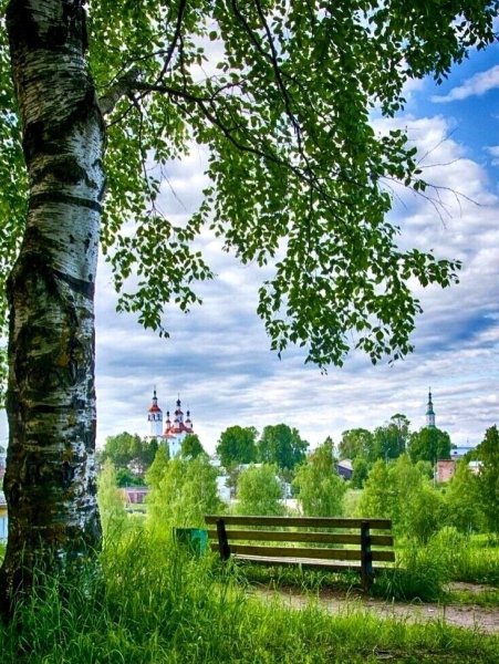 Березовая роща и Церковь пейзаж