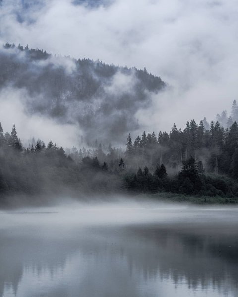 Серая природа