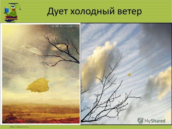 Дует сильный ветер