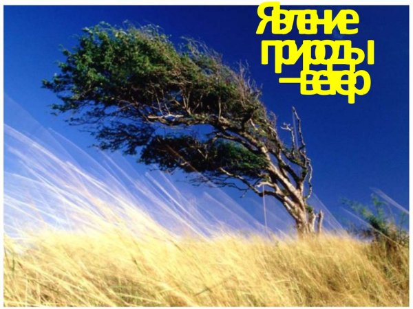 Явления природы ветер