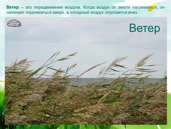 Природные явления ветер для детей