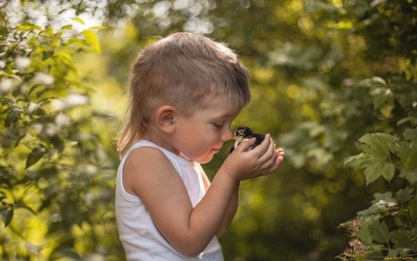 Adrian c Murray фотограф