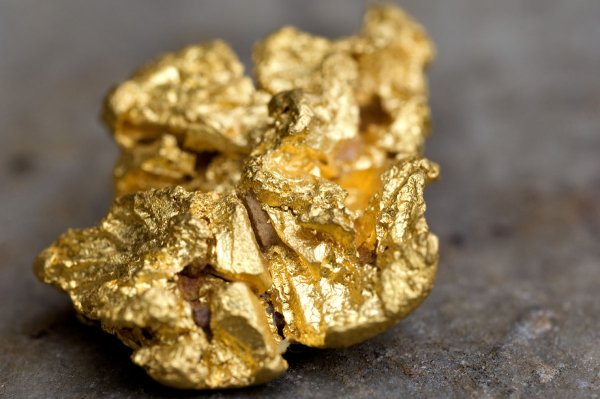 Золотой самородок Gold Rush