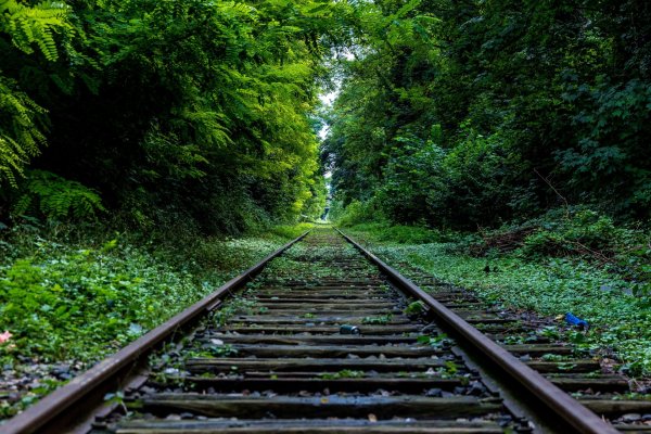 Дорога уходящая вдаль