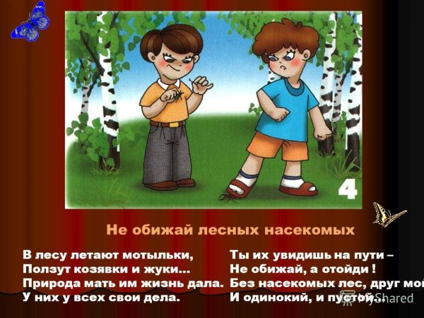 Правила поведения в лесу