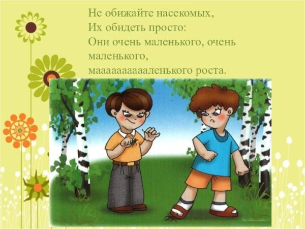 Не обижай лесных насекомых