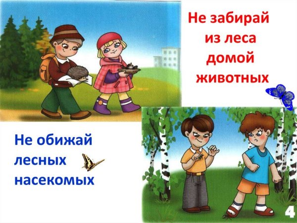 Не забирай животных из леса домой