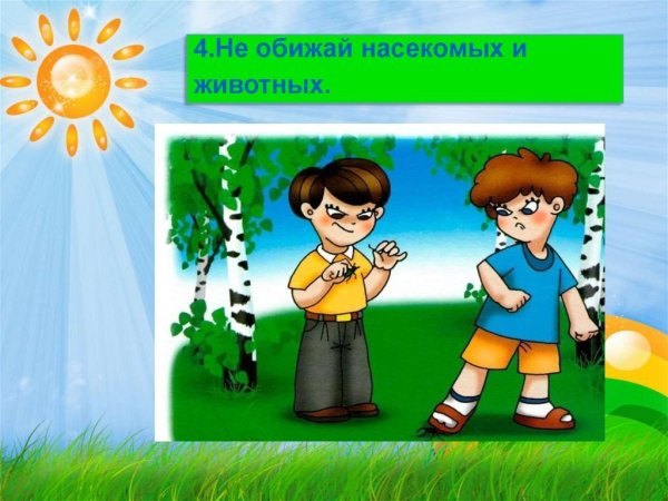 Поведение в лесу не обижать животных