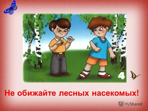 Нельзя ловить насекомых