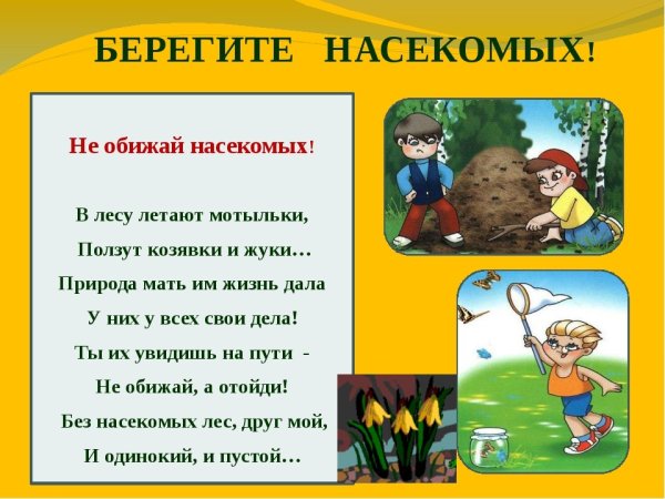 Стихи про насекомых