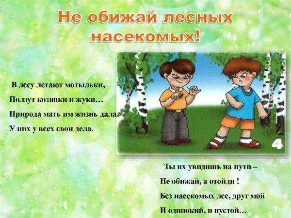 Не обижай насекомых