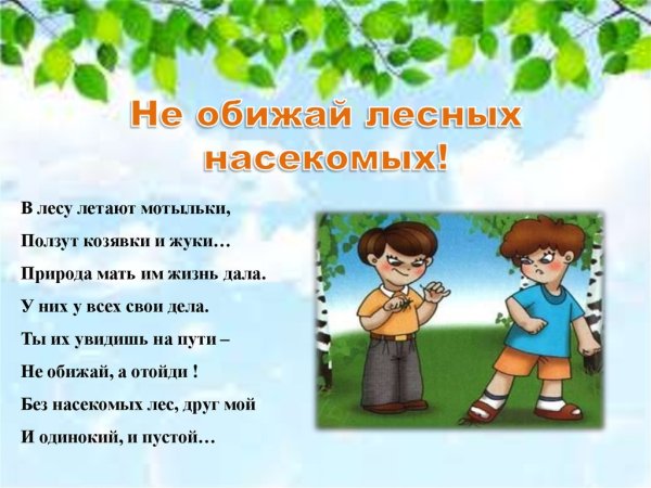 Поведение в лесу для дошкольников