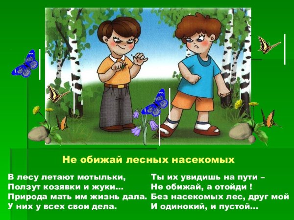 Не ловите насекомых