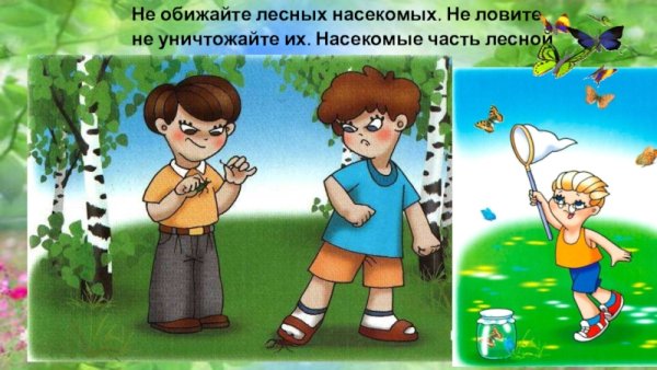 Не мусорить в лесу
